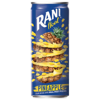 Rani Float 250ml | Refreshing Fruit Drink | Sweet & Fruity Beverage