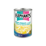 Twin Elephants Extra Bean Sprouts – Fresh & Crisp Quality Bean Sprouts for Cooking