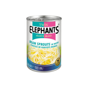 Twin Elephants Extra Bean Sprouts – Fresh & Crisp Quality Bean Sprouts for Cooking
