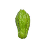 Fresh Chayote – Crisp, Healthy & Versatile Vegetable