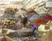 Indian Pakistani Groceries Spain - shop shelves filled with authentic spices and masalas